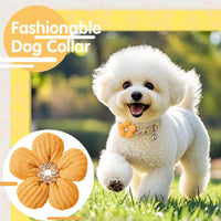 Medium Dog Collar with Flower - Yellow / Small: for Small Dog - image 3