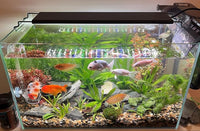 Advanced 7-Row LED Aquarium Light, Easy Setup Controller, Auto On Off Full Spectrum Fish Tank Light, 24/7 Lighting Cycle, 8 Colors, 10 Level Dimming, 20W for 12"-18" Freshwater Planted Tank