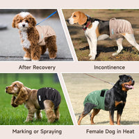 Langsprit Frenchie Female Dog Diapers No Tail Hole - Large / Pink,Green,Black - image 4