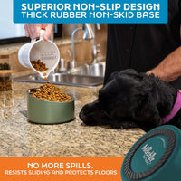 Master Pet Supply Stainless Steel Slanted Dog Cat Food Bowl 24 oz - Emerald Sea / 3 Cups (24 oz) - image 4