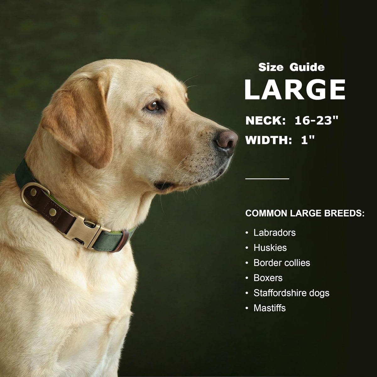 PU Leather Dog Collar for Small Dogs Puppy, Soft Lining, Green S – Essentials for Dogs - Green / L: Neck 16-23", Width 1" - image 3