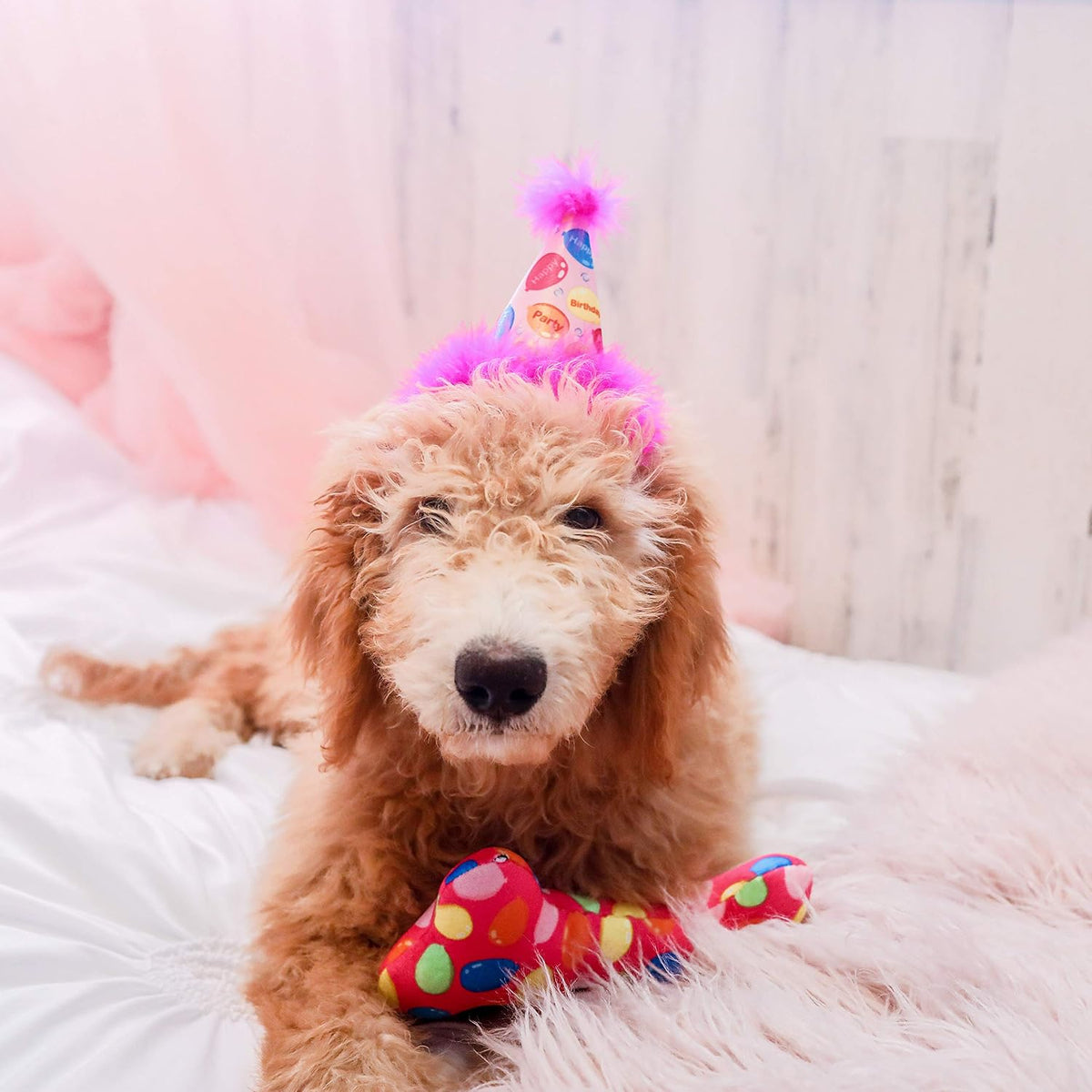 Huxley & Kent Party Crown Hat for Dogs & Cats - Large / Pink Party Time - image 3