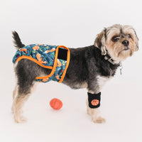 Washable Reusable Female Dog Diapers Small Medium Large Doggie Puppy - Giraffe / XX-Large / 3 - image 4