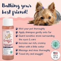 Bobbi Panter Dog Shampoo - Made in USA - All Natural Formula for Whitening All Coats, Enhances Shine & Moiturizes - Concentrated 20:1 for Professional Groomers - Peach Scent, 13 Oz (Case of 12)