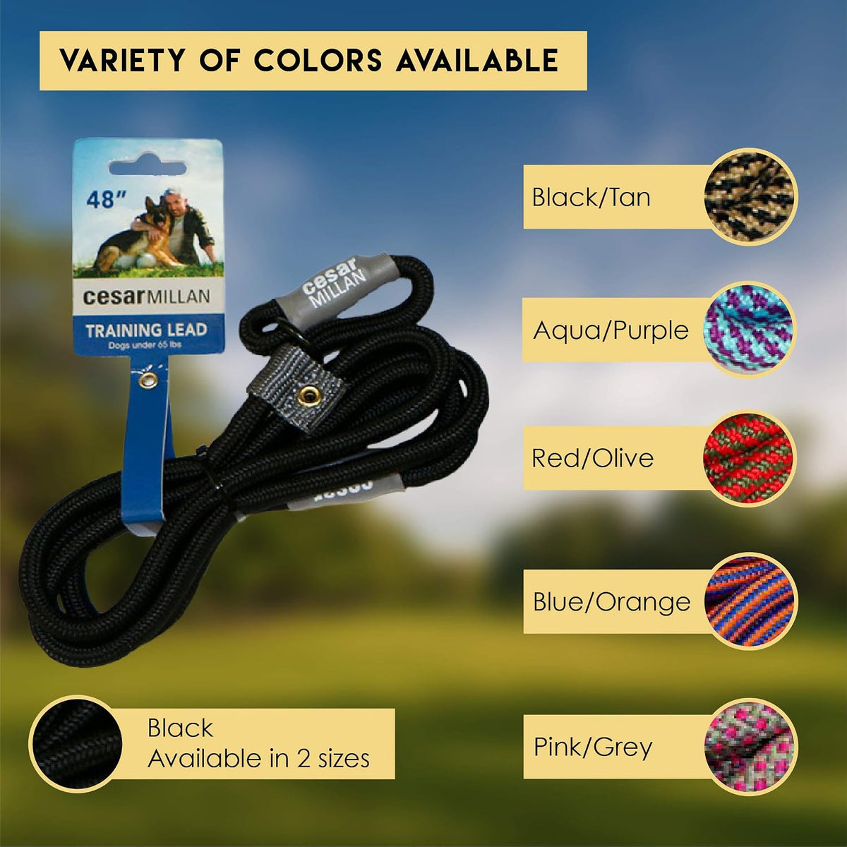 Cesar Millan Slip Lead Leash, Dog Leash, in Training Leash - Regular / Black/Tan - image 2