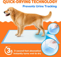 100 Count Puppy Pads 28"x34", Super Absorbent - 28"x34" 100-Count - image 2