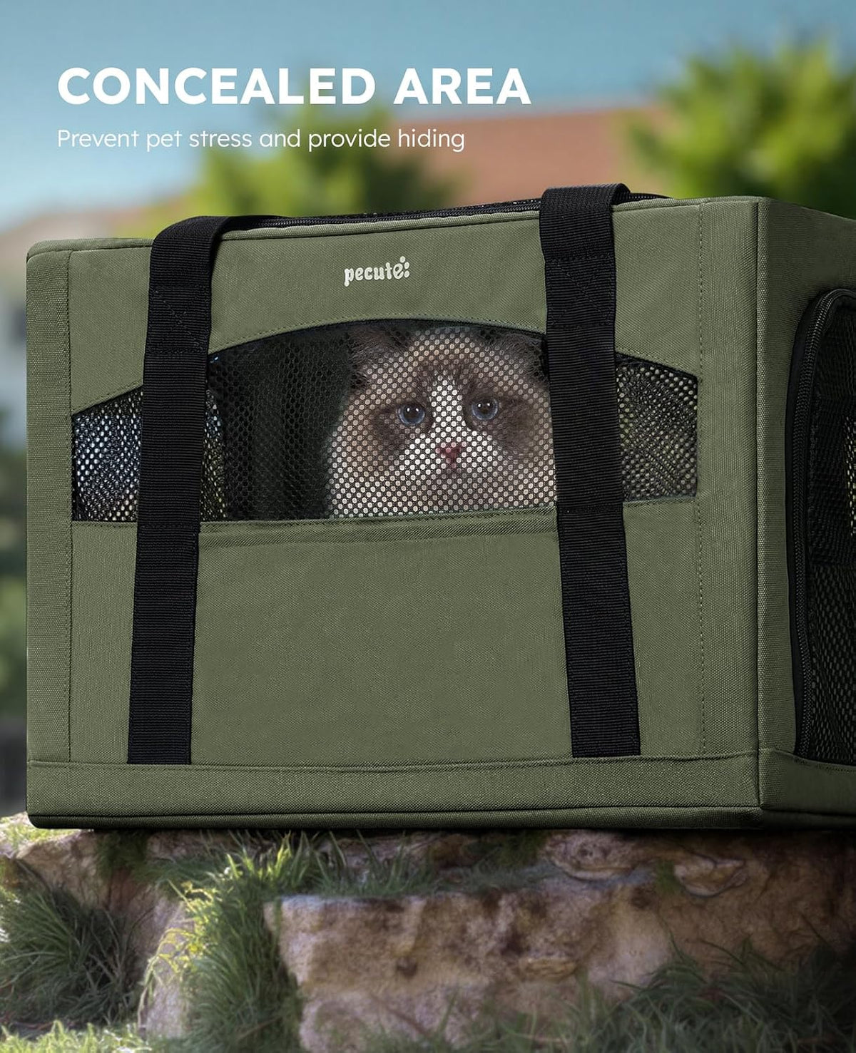 Pecute Cat Carrier Stable, Pet Carrier with Privacy Partition - Green / 18.5"L x 12.9"W x 11.8"H - image 4