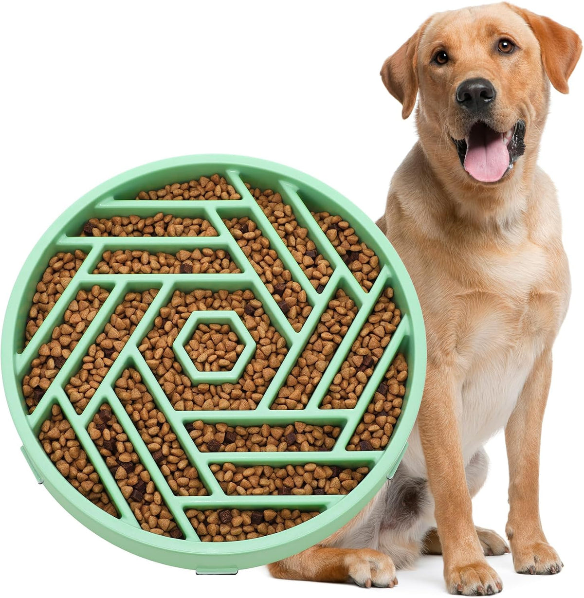 WHIPPY Slow Feeder Dog Bowl - mint green
