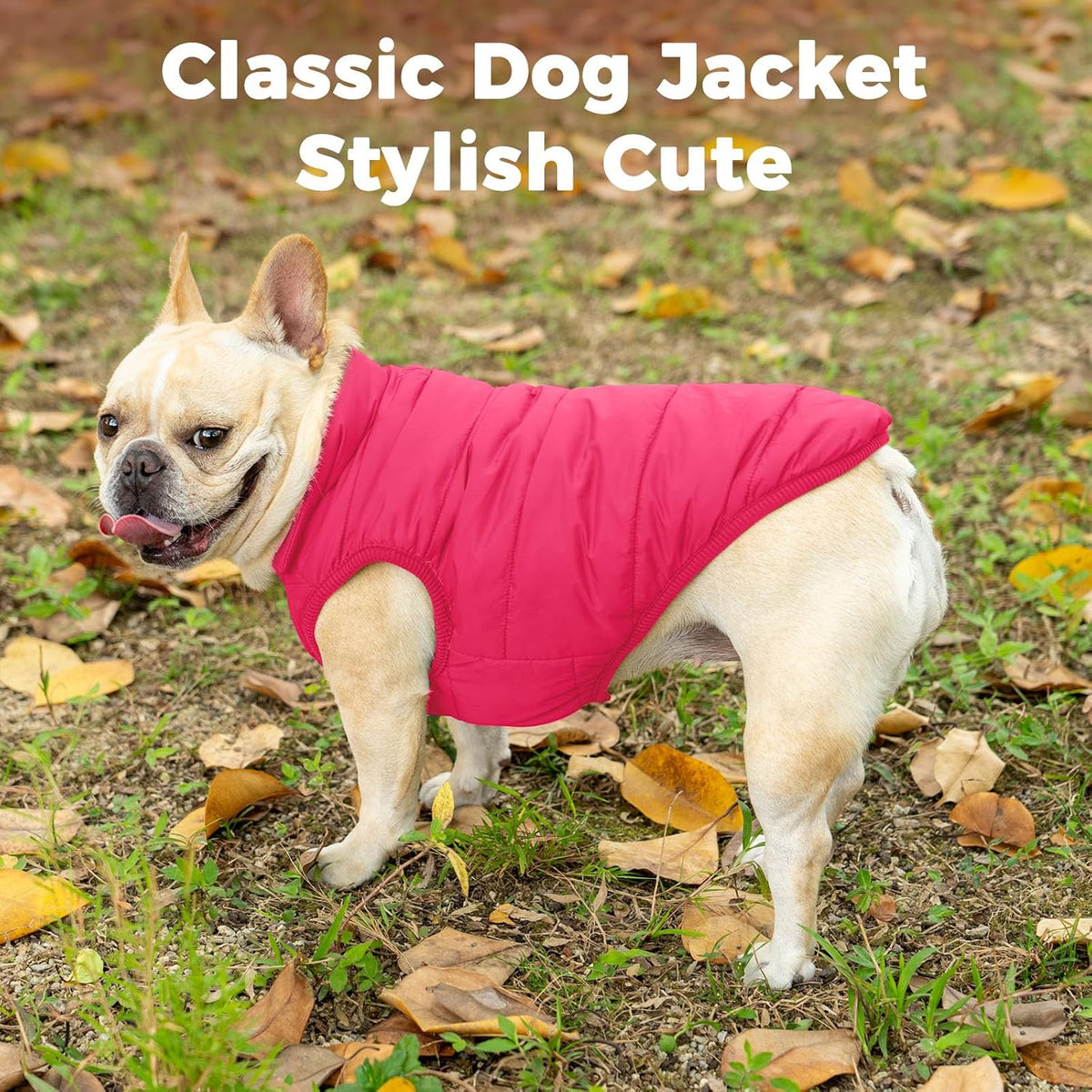 Fleece Lined Dog Jacket for Small Dogs, Winter Dog Coat - Pink / Large - image 2