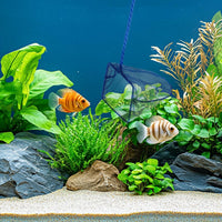 Mogoko 2 Pack Aquarium Net Fish Net Small Net Multi-Size Fine Mesh - 2. Blue / 4 Inch - image 4