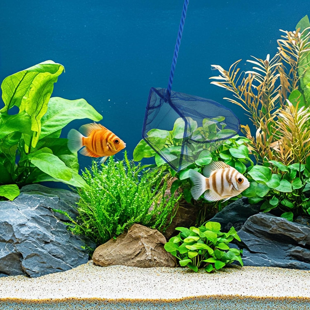 Mogoko 2 Pack Aquarium Net Fish Net Small Net Multi-Size Fine Mesh - 2. Blue / 4 Inch - image 4