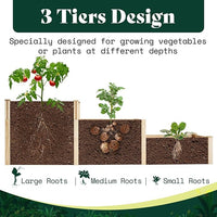 AMERLIFE 3-Tier Raised Garden Bed for Outdoor Gardening, Fir Wood Planter Box with Dividers, Tool-Free Assembly, Garden Box Perfect for Vegetables, Herbs, and Flowers