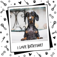 Dog Shampoo Luxury 2 in 1 Papaya & Coconut Dog Grooming Shampoo Products for Smelly Dogs with Fragrance, Best Puppy Shampoo, Professional Groom Vegan pet Shampoo & Conditioner