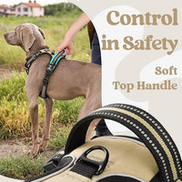 rabbitgoo Dog Harness for Large, No Pull Pet Harness with 3 Buckles, Adjustable Soft Padded Vest with Control Handle, Walking Reflective Pet Vest for Extra Large Dogs, Beige, XL