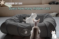 XxingSheep 4 Ways Shuttled XL Cat Tunnel Bed for Indoor Cats Peekaboo Cat Cave Donut with Cool Mat (Dark Gray)