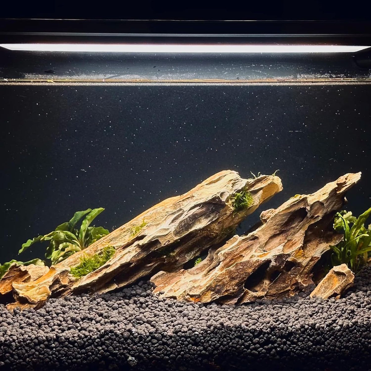Aquarium Rocks Seiryu Stones Natural Hardscape Stone for Aquariums - Dragon Stone / 10Lb (2-7 inch) - image 2