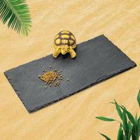 Rock Basking Platform with Bowl & Mat for Reptiles Small – Essentials for Reptiles And Amphibians - Medium- Size