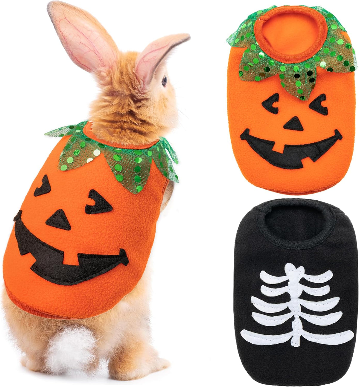 Halloween Guinea Pig Clothes - Orange and Black / XXS