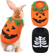 Halloween Guinea Pig Clothes - Orange and Black / XXS