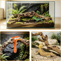 VCEPJH Snake Climbing Branch - Pomegranate Wood (L:13.7"-15.7"-2pcs) / 2 - image 2