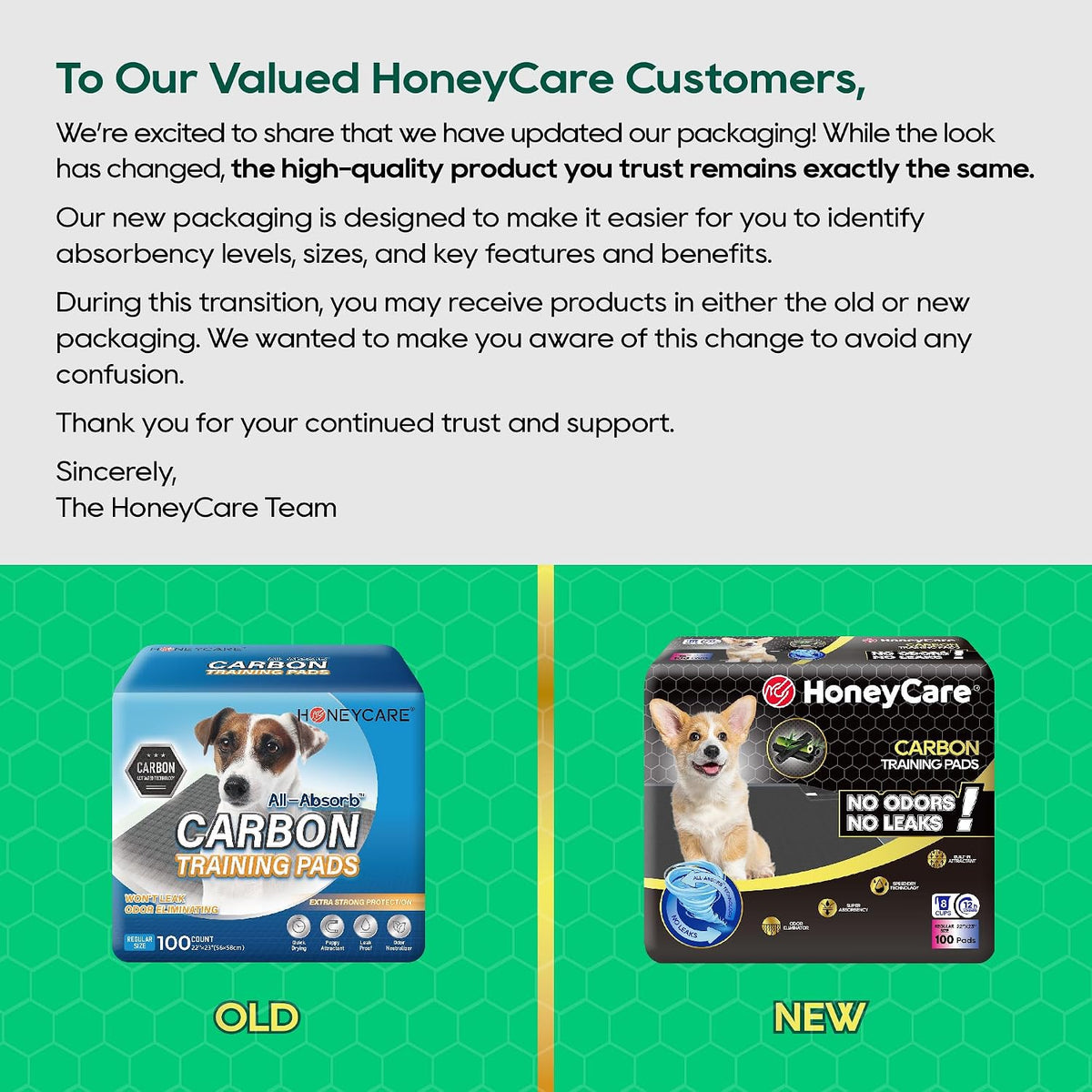 HONEY CARE All-Absorb Puppy Training Pads - Large 22"x23" / 100 - image 3