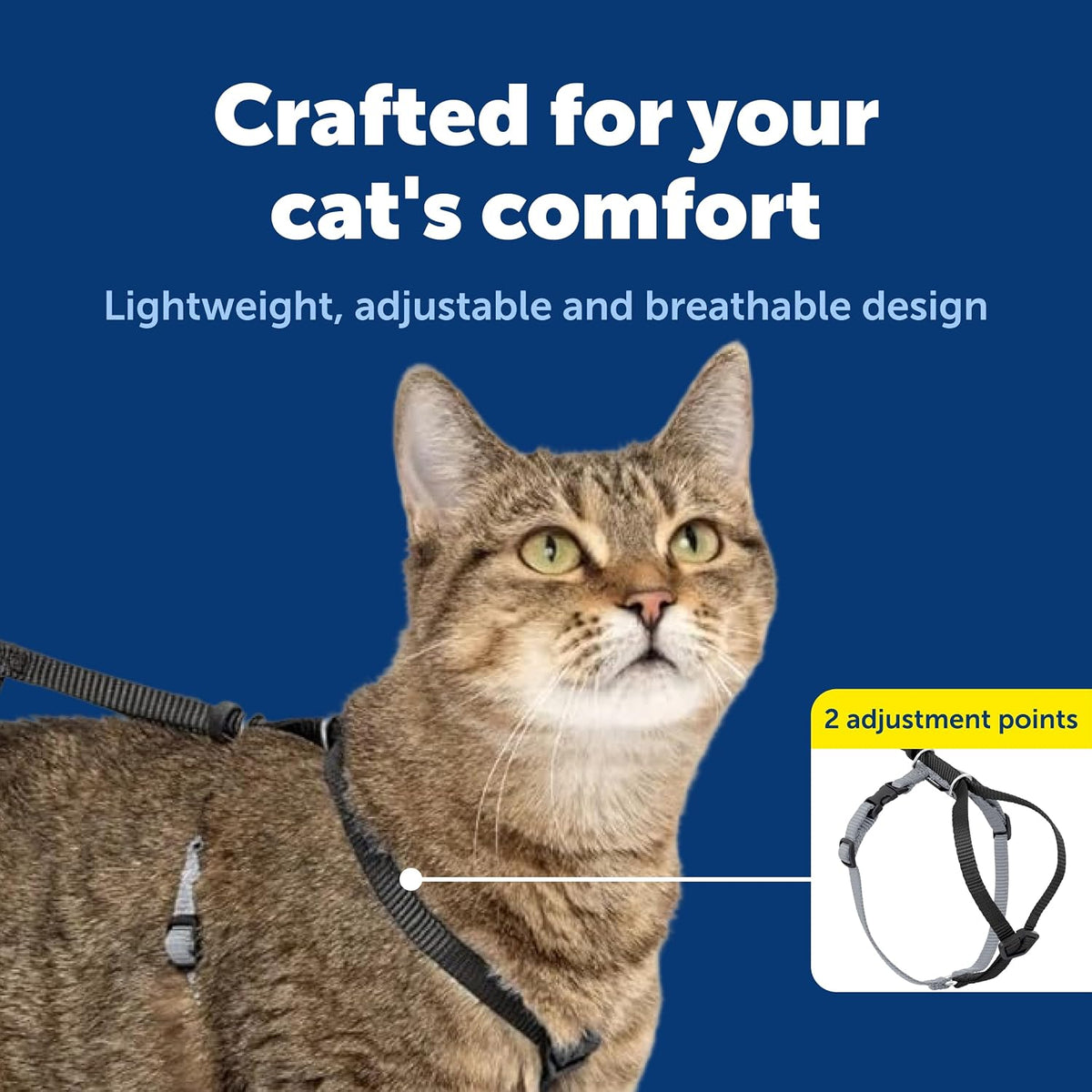 PetSafe Come With Me Kitty Harness and Bungee Cat Leash - Large (Pack of 1) / Black - image 3