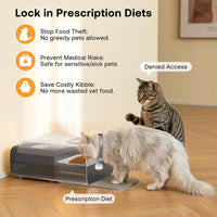 RFID Automatic Cat Feeder, Collar Sensor for Personalized Meals – Essentials for Cats - Black - image 3