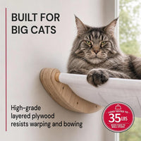 Large Cat Wall Hammock with 2 Climbing Steps – 21" Wall-Mounted Bed for Big Cats