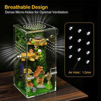 Jumping Spider Enclosure Starter Kit - Green / Small - image 4