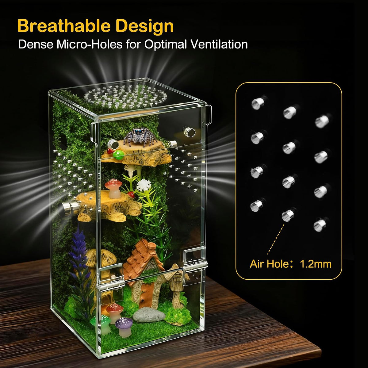 Jumping Spider Enclosure Starter Kit - Green / Small - image 4