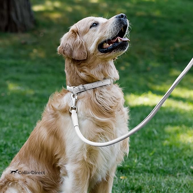 CollarDirect Rolled Leather Dog Collar, Soft Padded Round Puppy Collar, Handmade Genuine Leather Collar Dog Small Large Cat Collars 13 Colors (6 Inch, White Textured)