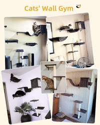 Heavy Duty Cat Wall Shelves for Large Cats - 5-in-1 - image 3