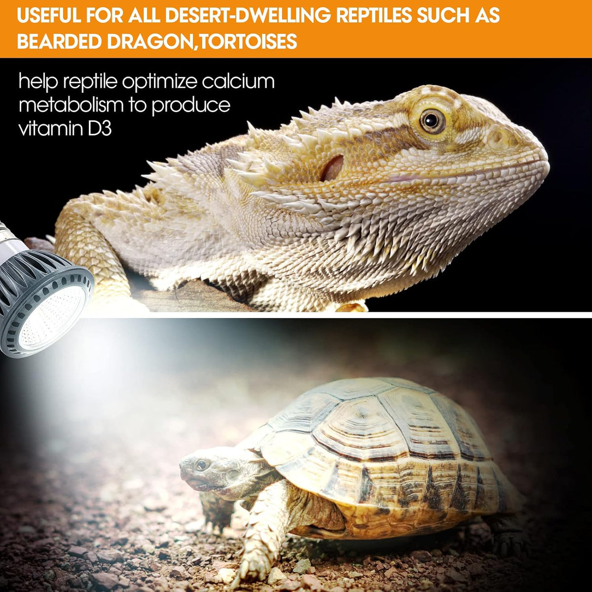 5 watt UVB LED reptile light bulb with E26 socket for desert-dwelling reptiles - view 3