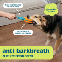 Cool Teething Stick Dental Dog Chew Toy, Soak & Freeze, 8.5" – Essentials for Dogs - Orange - image 4