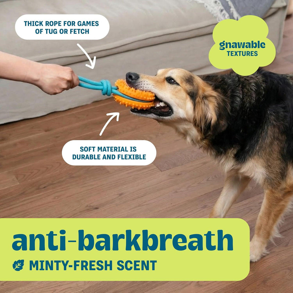 Cool Teething Stick Dental Dog Chew Toy, Soak & Freeze, 8.5" – Essentials for Dogs - Orange - image 4