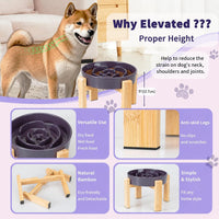 Elevated Slow Feeder Dog Bowl - Purple / 3.2 Cups - image 3