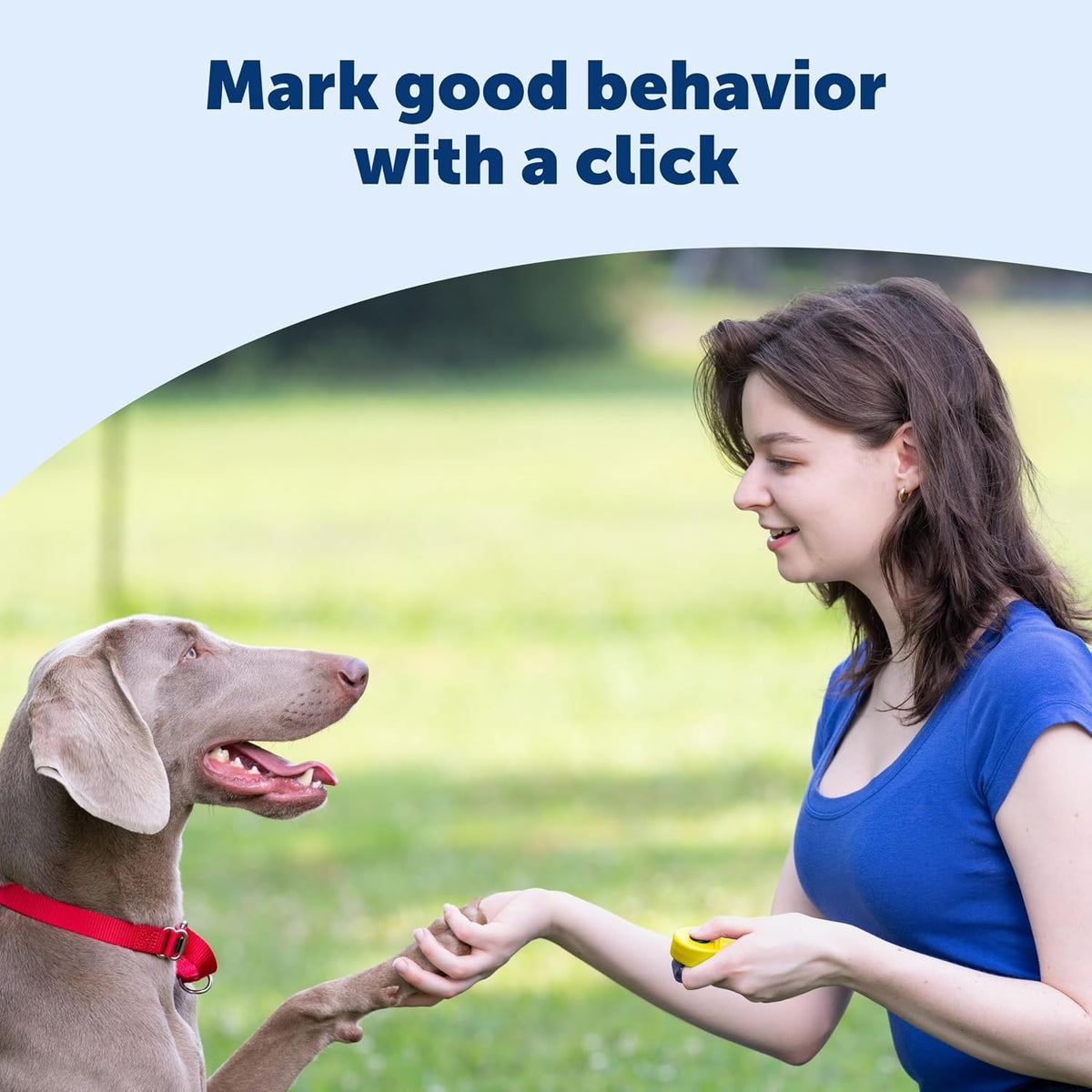 PetSafe Clik-R Dog Training Clicker - Yellow - image 2