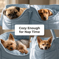 Plush Dog Purse Carrier for Small Dogs, Soft Tote, Black – Essentials for Dogs - Plush Light Blue - image 3