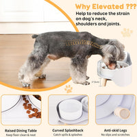 Elevated Slow Feeder Dog Bowls with Splash Proof Stand - Medium / White - image 3