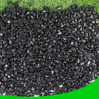 45lb White Rocks for Plants, Potting - 18LB / Black