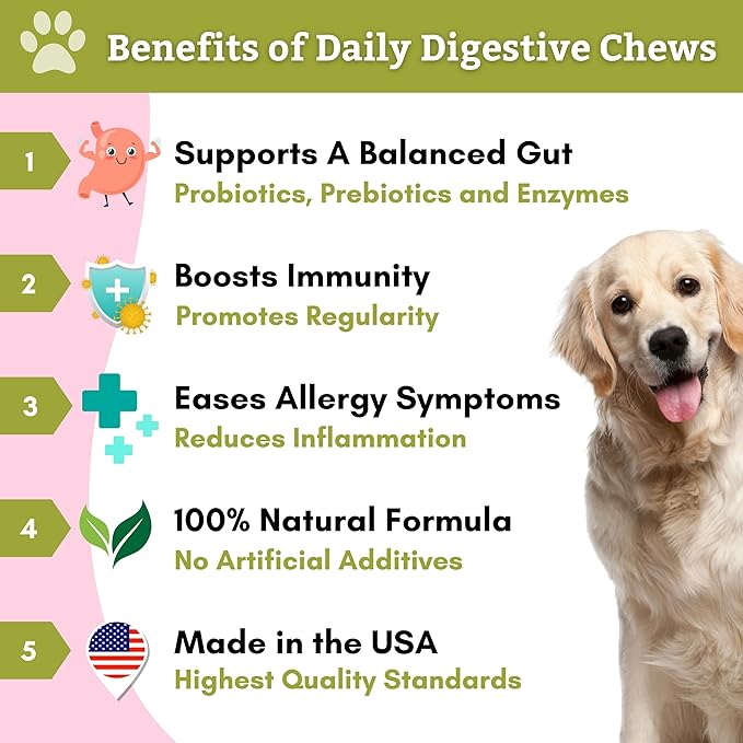 Wholistic Pet Organics:Dog Probiotics and Digestive Enzymes-Probiotic Chews for Dogs Digestive Health,Support Gut Health Immune Supplement Prevents Dog Digestive Problems (Original, 240 Count)