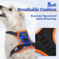 rabbitgoo Dog Harness, No Pull for Large Dogs with 2 Leash Clips - X-Small / Blue & Orange - image 2