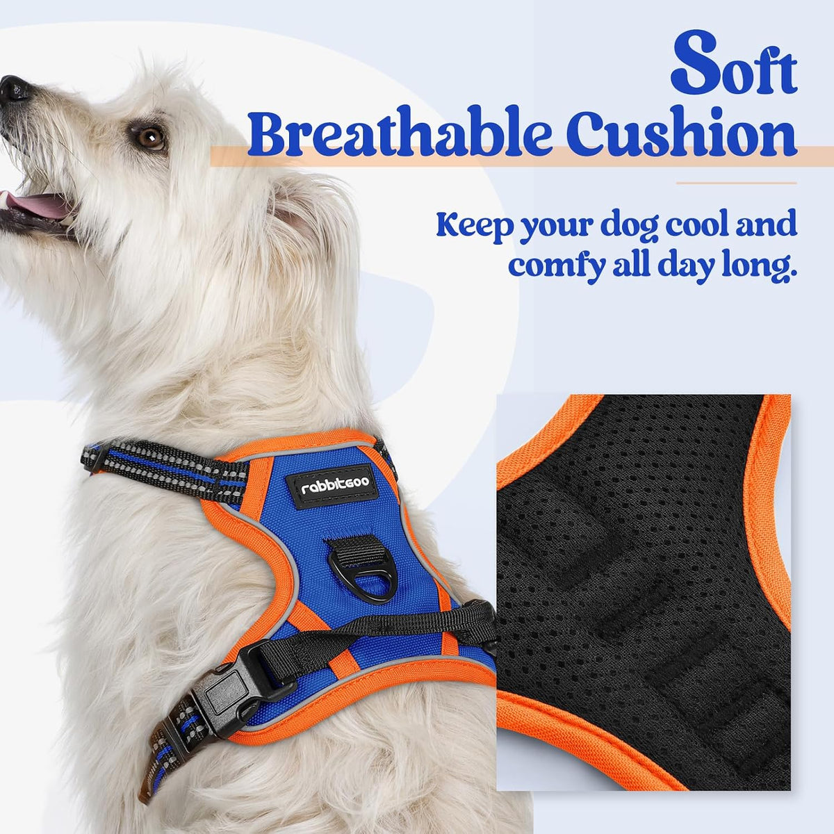 rabbitgoo Dog Harness, No Pull for Large Dogs with 2 Leash Clips - X-Small / Blue & Orange - image 2