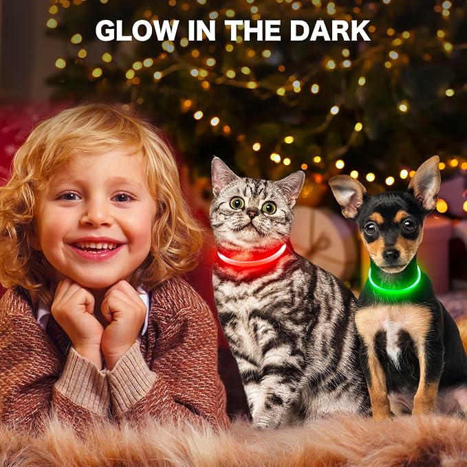 BSEEN Light Up Dog Collar - Rainproof LED Dog Collar Rechargeable - TPU Cuttable Glowing Puppy Collar for Small Dogs& Cats, High Visibility Safety Dog Lights for Night Walking (XS-Red 40cm)