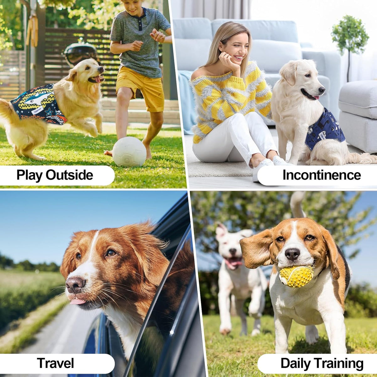 Washable Dog Diapers Male Reusable - Concert halls, oceans, farms / X-Small - image 4