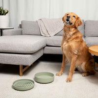 The Perfect Dish, Silicone Dog Bowl for Food & Water - Sand / Medium (7.5” Across x 2.25” Tall) - image 4
