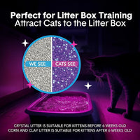 Boxie® Glo™ 30 Day Odor Control Clumping Clay Cat Litter, 28lb, Multi-Cat, 99.9% Dust-Free, Low Tracking, UV Light Attractant, Superior Clumping for Easy Scooping