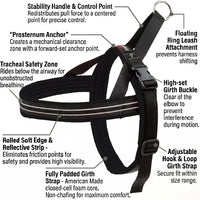 ComfortFlex No-Choke Non-Chafe Sport Dog Harness - Medium/Large / Raven Black - image 2