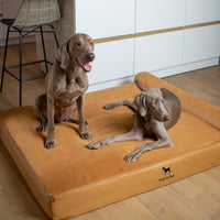 Large Dog Bed Orthopedic Memory Foam Cooling Gel 35x25x8.7 in – Essentials for Dogs - Camel - LE / XX-Large - image 3