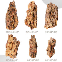 6.1-8.1 Inches Natural Dragon Stone, Terrariums - 6.1-8.1 in - image 3